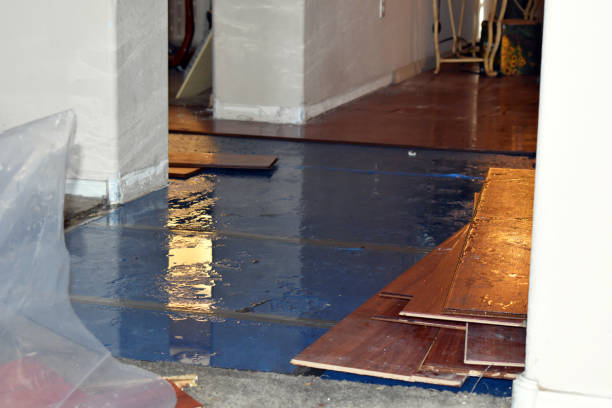 Professional Storm Water Damage Restoration technician working in Highland Park, TX